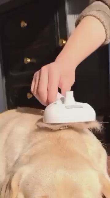 Bobby&Co FoggyBrush™ - De ultieme vachtverzorging